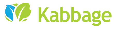 Kabbage Business Loan Review