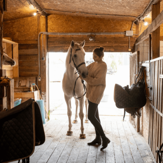 horse barn loans