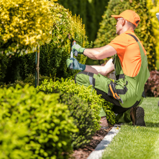 Landscaping business loans